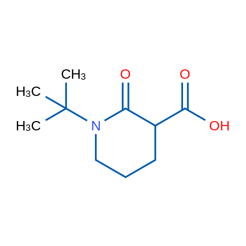 1-tert-Butyl-2-oxopiperidine-3-carboxylic acid 1g