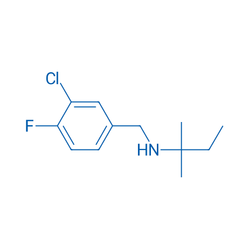 [(3-Chloro-4-fluorophenyl)methyl](2-methylbutan-2-yl)amine 1g