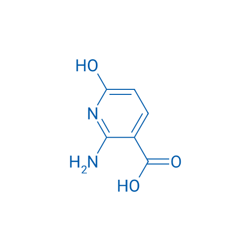 2-amino-6-hydroxypyridine-3-carboxylic acid 250mg