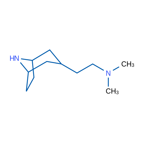 (2-(8-Azabicyclo[3.2.1]octan-3-yl)ethyl)dimethylamine 1g
