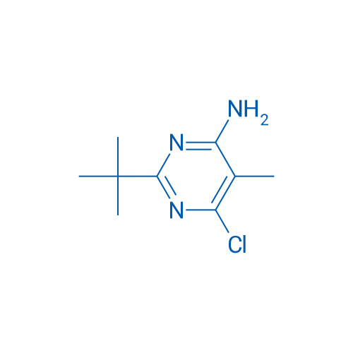 2-tert-Butyl-6-chloro-5-methylpyrimidin-4-amine 1g