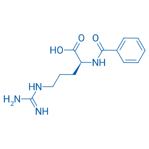 Bz-Arg-OH 500g