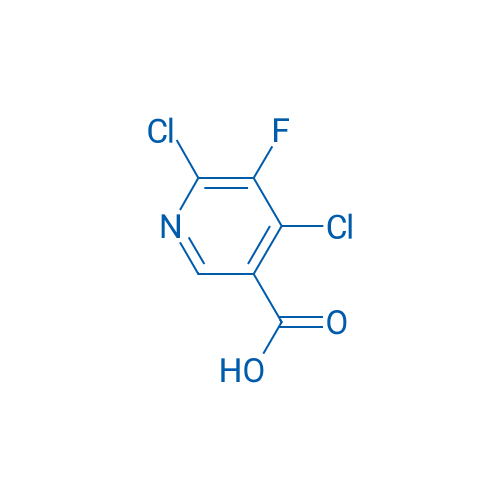 4,6-Dichloro-5-fluoronicotinic acid 25g