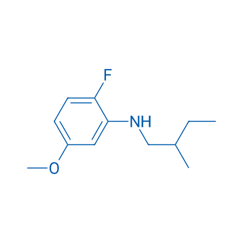 2-Fluoro-5-methoxy-N-(2-methylbutyl)aniline 1g