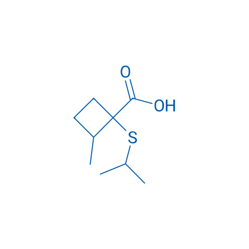 2-Methyl-1-(propan-2-ylsulfanyl)cyclobutane-1-carboxylic acid 1g