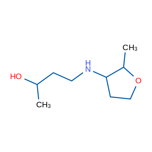 4-[(2-Methyloxolan-3-yl)amino]butan-2-ol 1g
