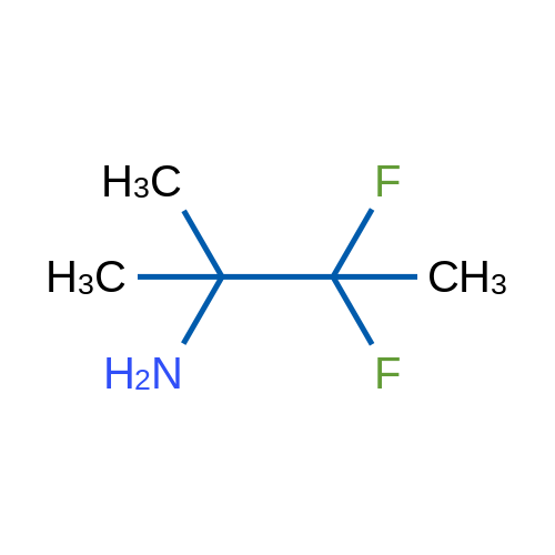 3,3-Difluoro-2-methylbutan-2-amine 1g