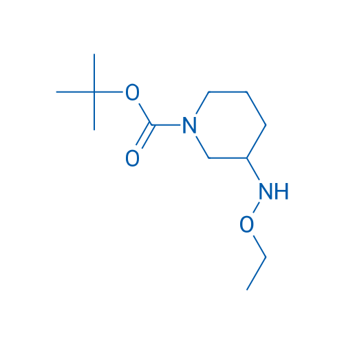 tert-Butyl 3-(Ethoxyamino)piperidine-1-carboxylate 1g