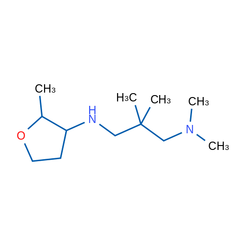 {2,2-dimethyl-3-[(2-methyloxolan-3-yl)amino]propyl}dimethylamine 1g
