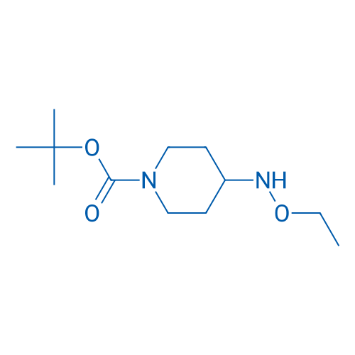 tert-Butyl 4-(Ethoxyamino)piperidine-1-carboxylate 1g