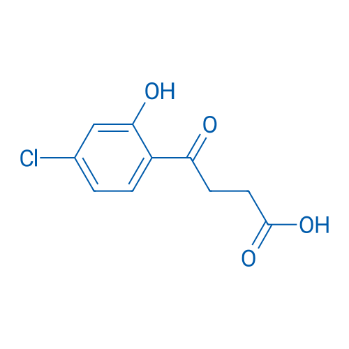 4-(4-Chloro-2-hydroxyphenyl)-4-oxobutanoic acid 1g