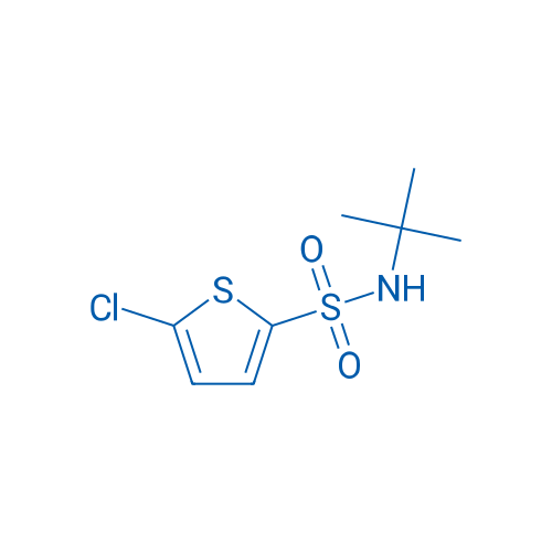 5-Chlorothiophene-2-sulfonic acid tert-butylamide 10g