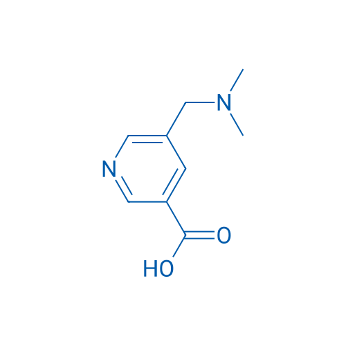 5-[(Dimethylamino)methyl]pyridine-3-carboxylic acid 1g