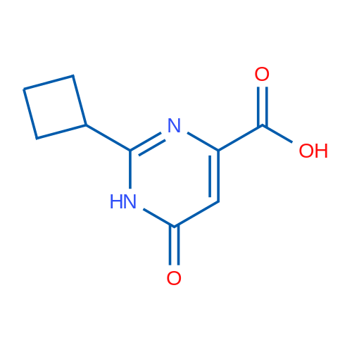2-Cyclobutyl-6-oxo-1,6-dihydropyrimidine-4-carboxylic acid 1g