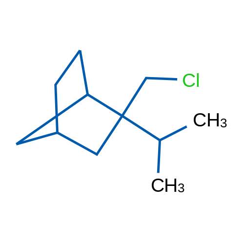 2-(Chloromethyl)-2-(propan-2-yl)bicyclo[2.2.1]heptane 1g