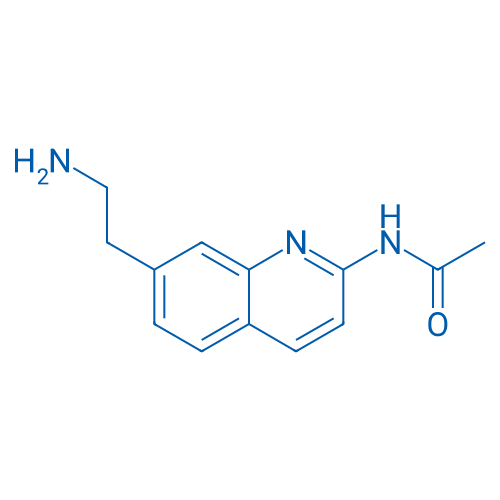 N-(7-(2-AMINOETHYL)QUINOLIN-2-YL)ACETAMIDE 1g