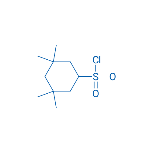 3,3,5,5-Tetramethylcyclohexane-1-sulfonyl chloride 1g