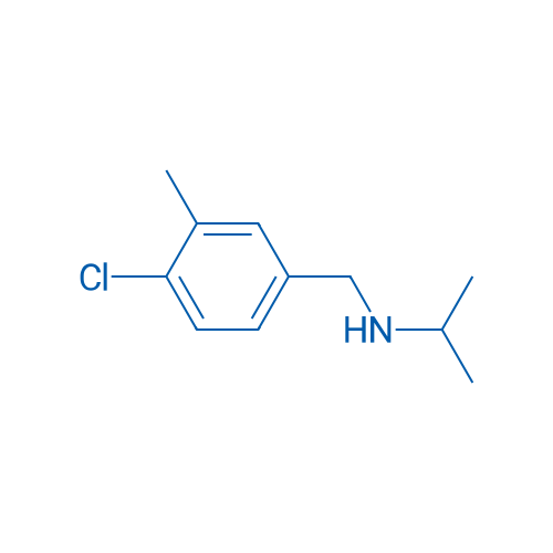 [(4-Chloro-3-methylphenyl)methyl](propan-2-yl)amine 1g