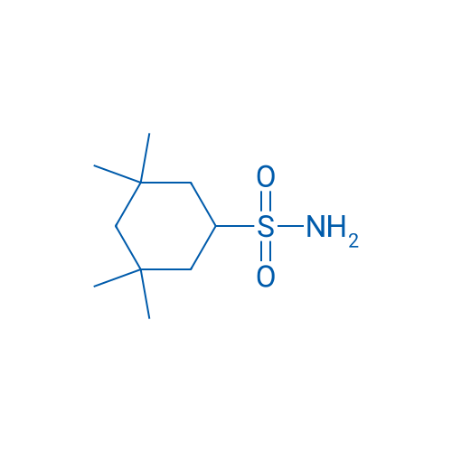 3,3,5,5-Tetramethylcyclohexane-1-sulfonamide 1g