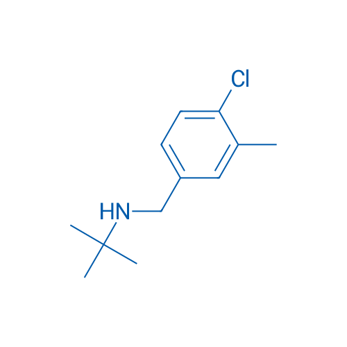 tert-Butyl[(4-chloro-3-methylphenyl)methyl]amine 1g