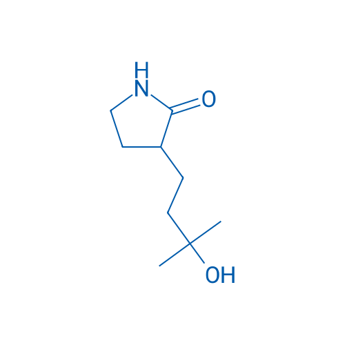 3-(3-Hydroxy-3-methylbutyl)pyrrolidin-2-one 1g