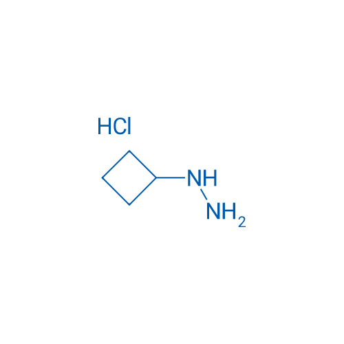 1-Cyclobutylhydrazine hydrochloride 25g