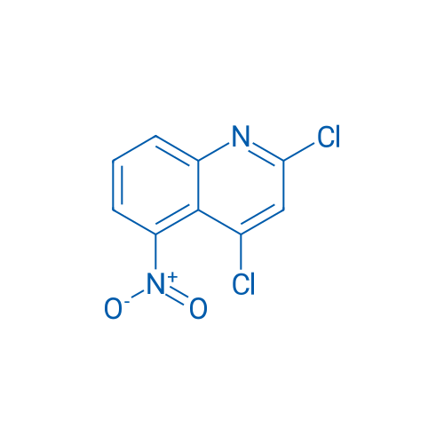 2,4-Dichloro-5-nitroquinoline 1g