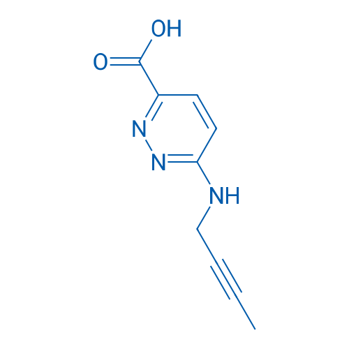 6-[(But-2-yn-1-yl)amino]pyridazine-3-carboxylic acid 1g
