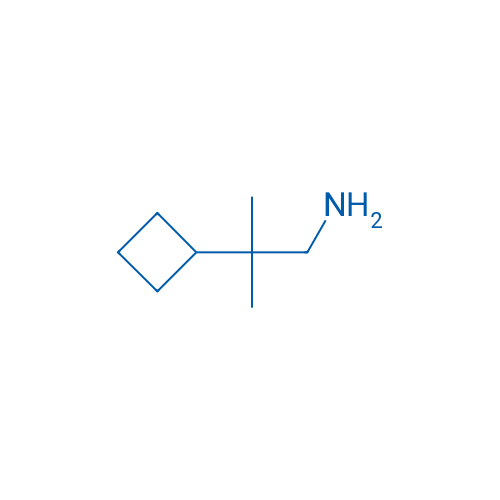 2-Cyclobutyl-2-methylpropan-1-amine 1g