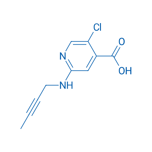 2-[(But-2-yn-1-yl)amino]-5-chloropyridine-4-carboxylic acid 1g
