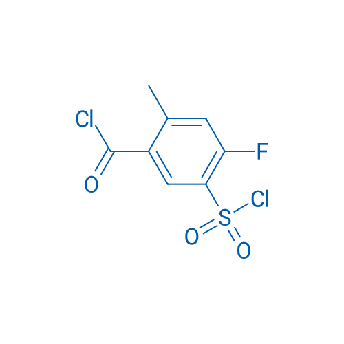 5-(Chlorosulfonyl)-4-fluoro-2-methylbenzoyl chloride 1g