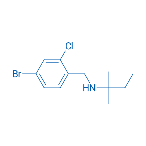 [(4-Bromo-2-chlorophenyl)methyl](2-methylbutan-2-yl)amine 1g