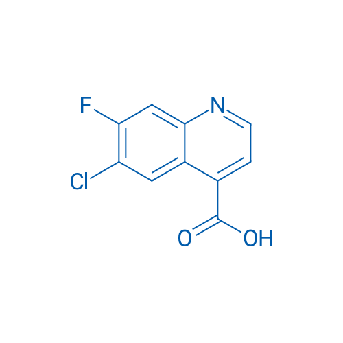 6-Chloro-7-fluoroquinoline-4-carboxylic acid 1g