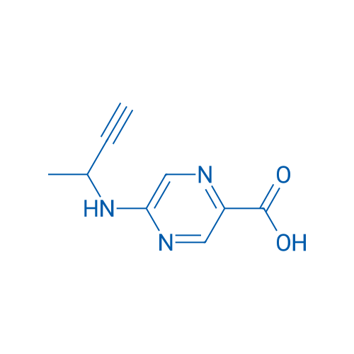 5-[(But-3-yn-2-yl)amino]pyrazine-2-carboxylic acid 1g