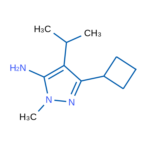 3-Cyclobutyl-1-methyl-4-(propan-2-yl)-1H-pyrazol-5-amine 1g