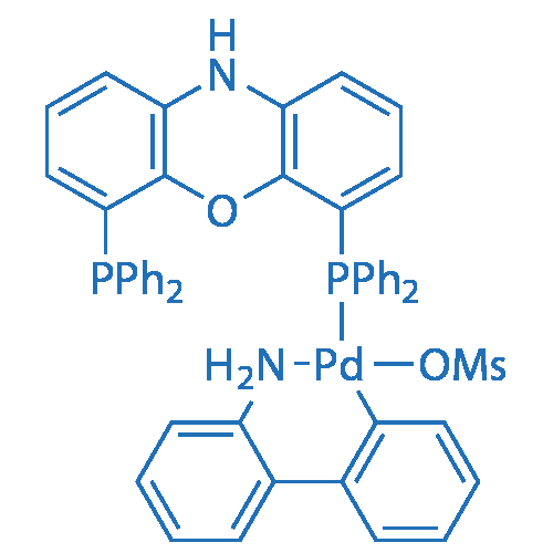 N-XantPhos Pd G3 5g