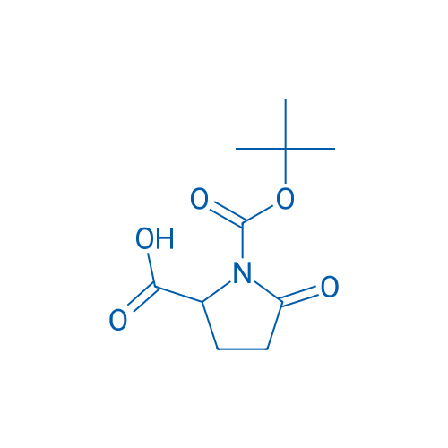 Boc-DL-5-Oxo-Pro-OH 1g