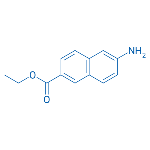 Ethyl 6-amino-2-naphthoate 1g