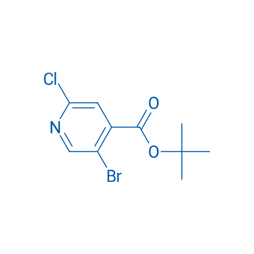 tert-Butyl 5-bromo-2-chloroisonicotinate 1g