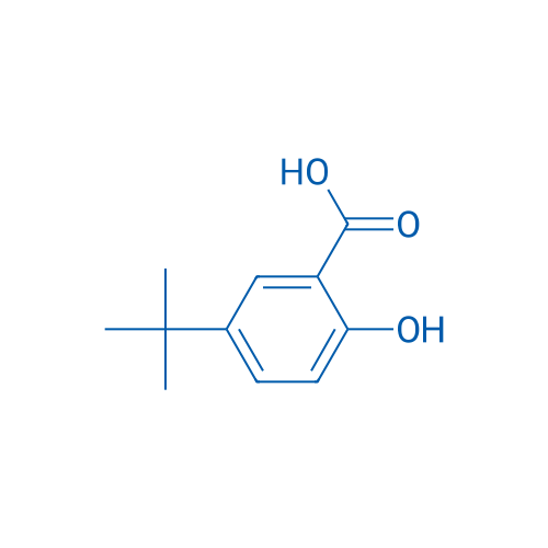5-tert-Butyl-2-hydroxybenzoic Acid 100mg