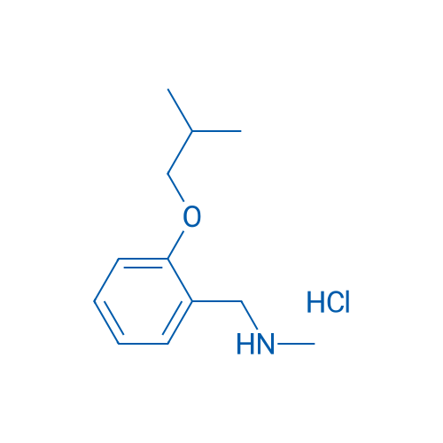 1-(2-Isobutoxyphenyl)-N-methylmethanamine hydrochloride 1g