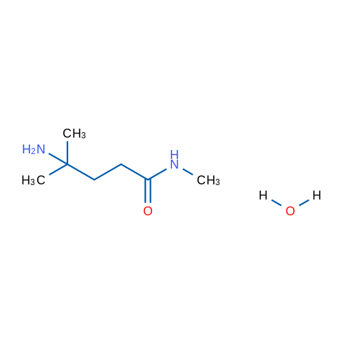 4-Amino-N,4-dimethylpentanamide hydrate 1g