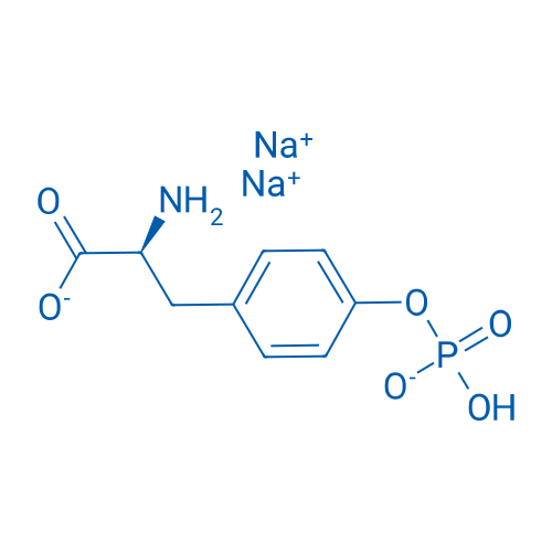 H-Phospho-Tyr-OH·2Na 100g
