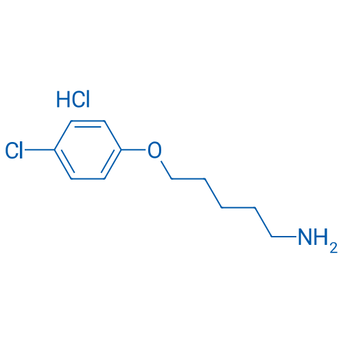 5-(4-Chlorophenoxy)pentan-1-amine hydrochloride 1g