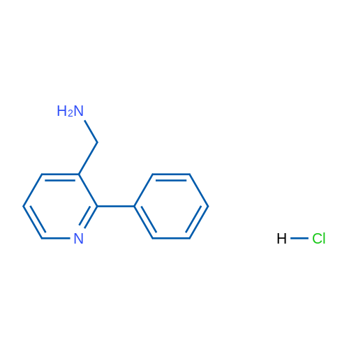 (2-Phenylpyridin-3-yl)methanamine hydrochloride 1g