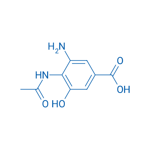 4-Acetamido-3-amino-5-hydroxybenzoic acid 1g