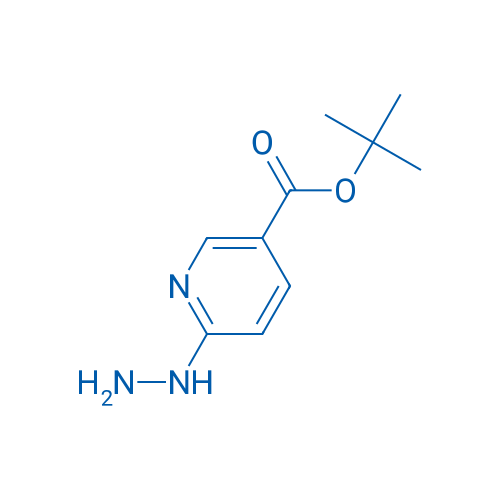 tert-Butyl 6-hydrazinylnicotinate 1g