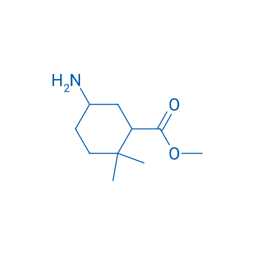 Methyl 5-amino-2,2-dimethylcyclohexane-1-carboxylate 100mg