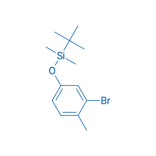 (3-Bromo-4-methylphenoxy)(tert-butyl)dimethylsilane 10g