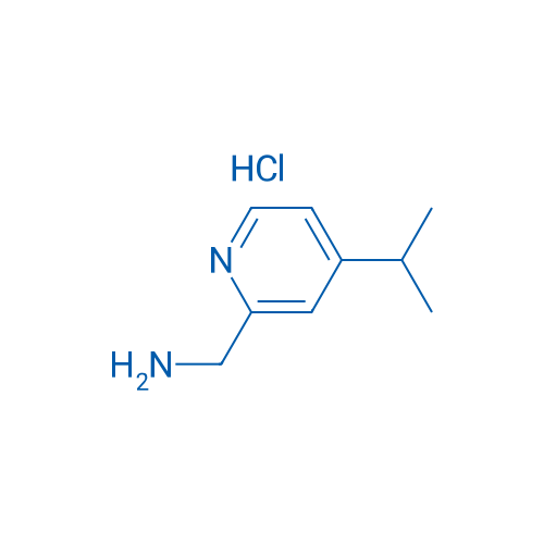 (4-Isopropylpyridin-2-yl)methanamine hydrochloride 1g
